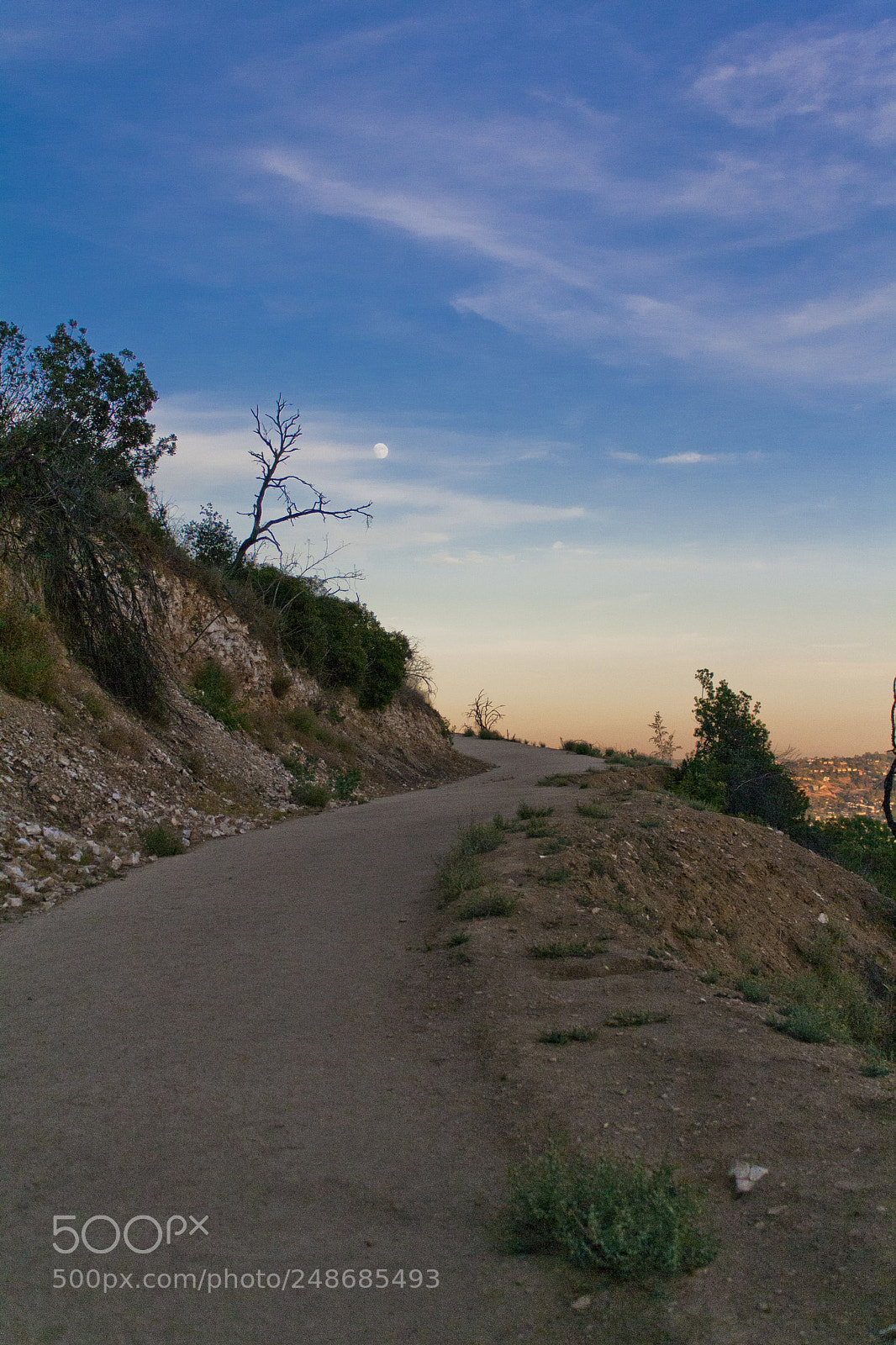 Canon EOS 1000D (EOS Digital Rebel XS / EOS Kiss F) sample photo. Griffith park trail photography