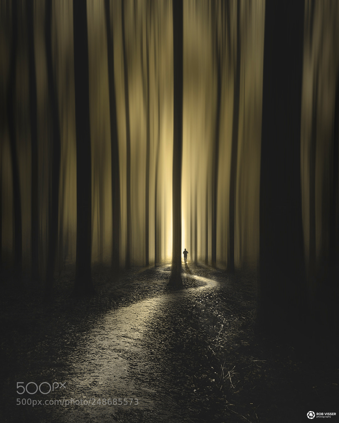 Nikon D5100 sample photo. The maze runner photography