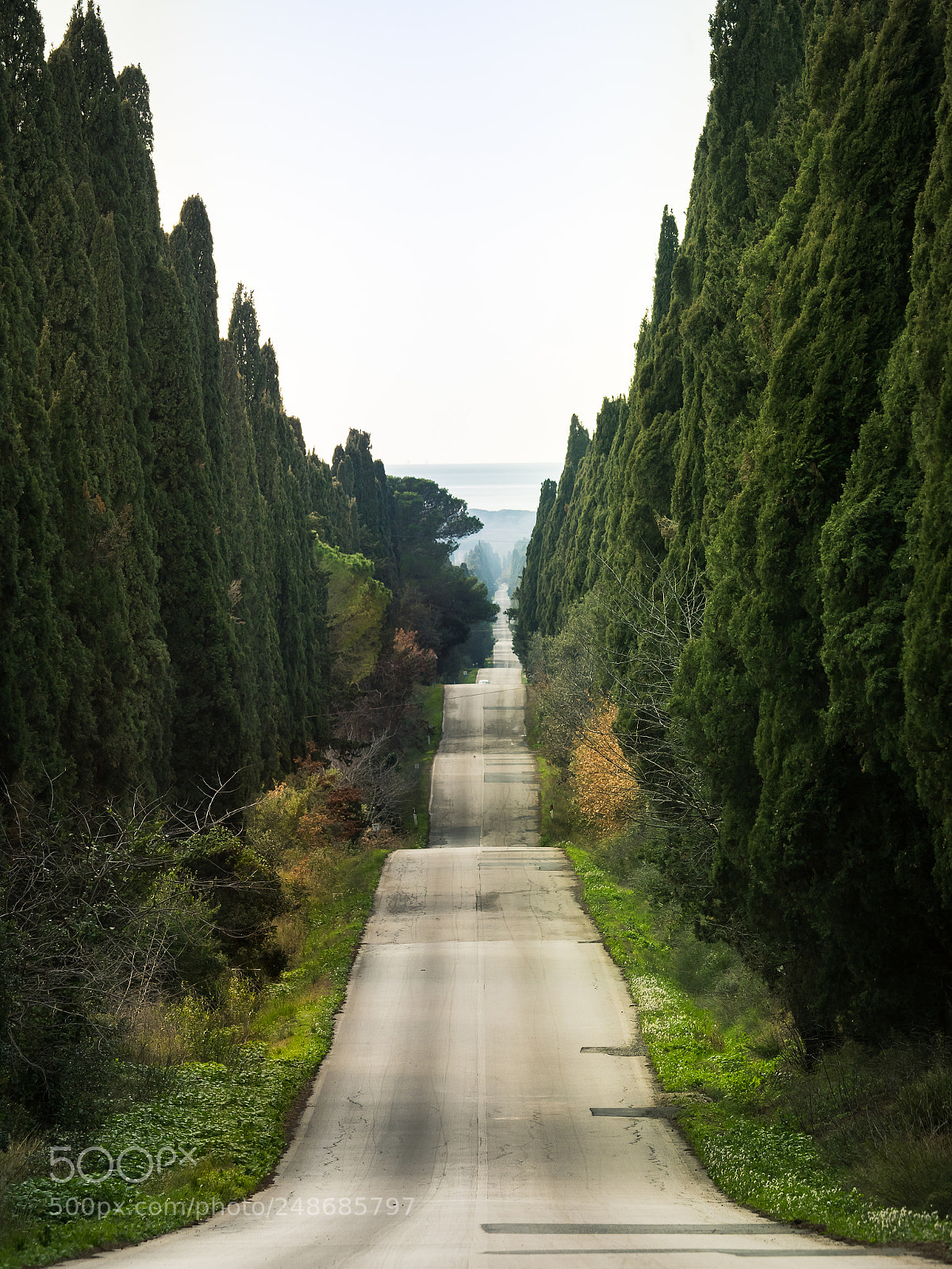 Olympus OM-D E-M1 Mark II sample photo. Ti porter nei posti photography