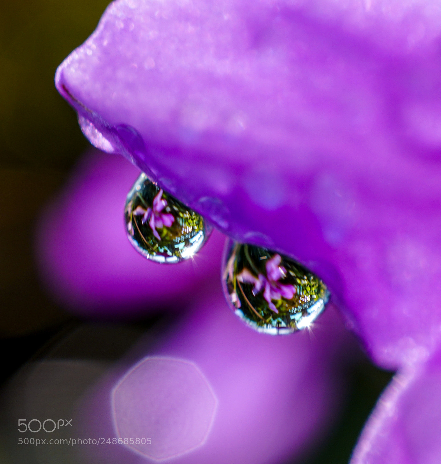 Sony a6000 sample photo. In droplets photography