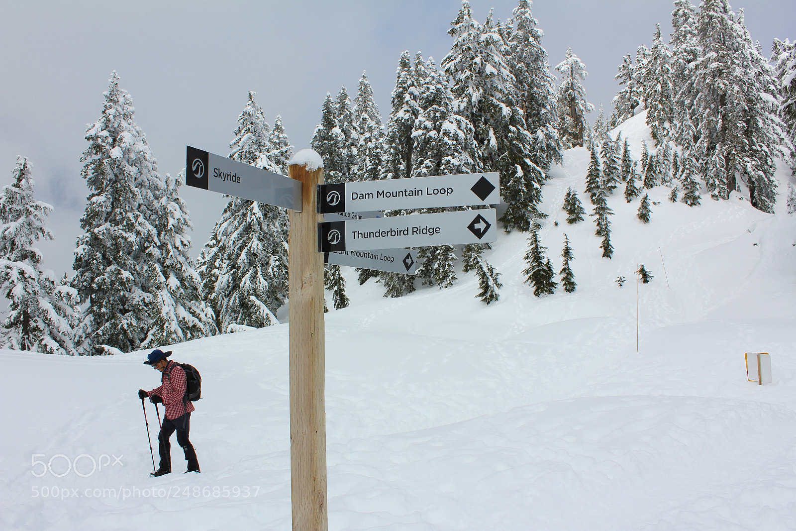 Canon EOS 550D (EOS Rebel T2i / EOS Kiss X4) sample photo. Walking a snowy trail photography