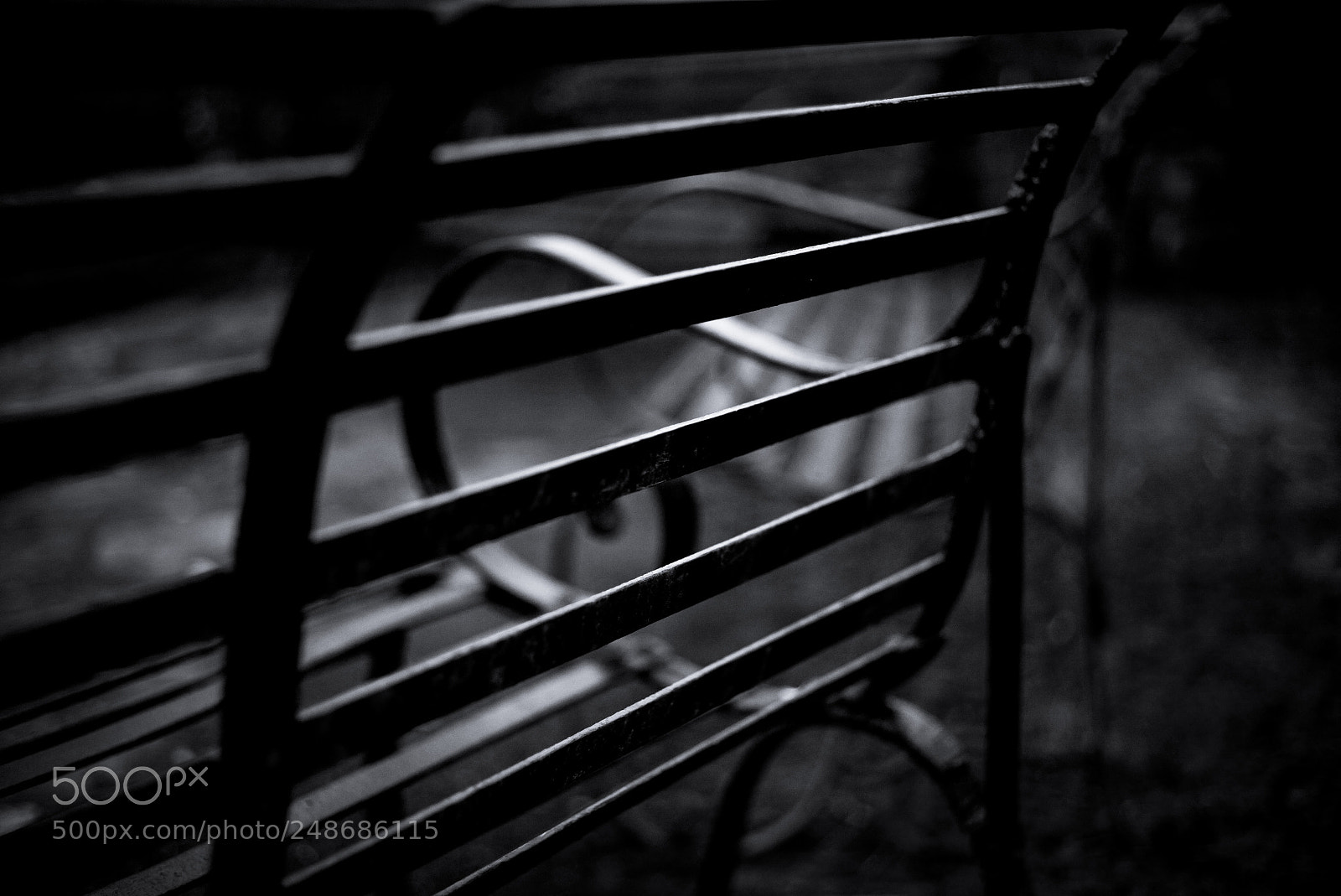 Leica M (Typ 240) sample photo. Curves photography