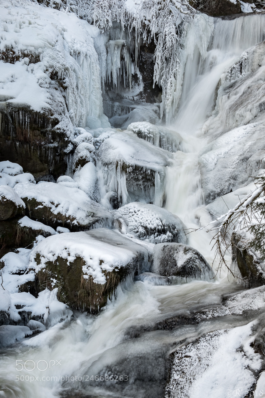 Fujifilm X-T2 sample photo. Triberger wasserfall photography