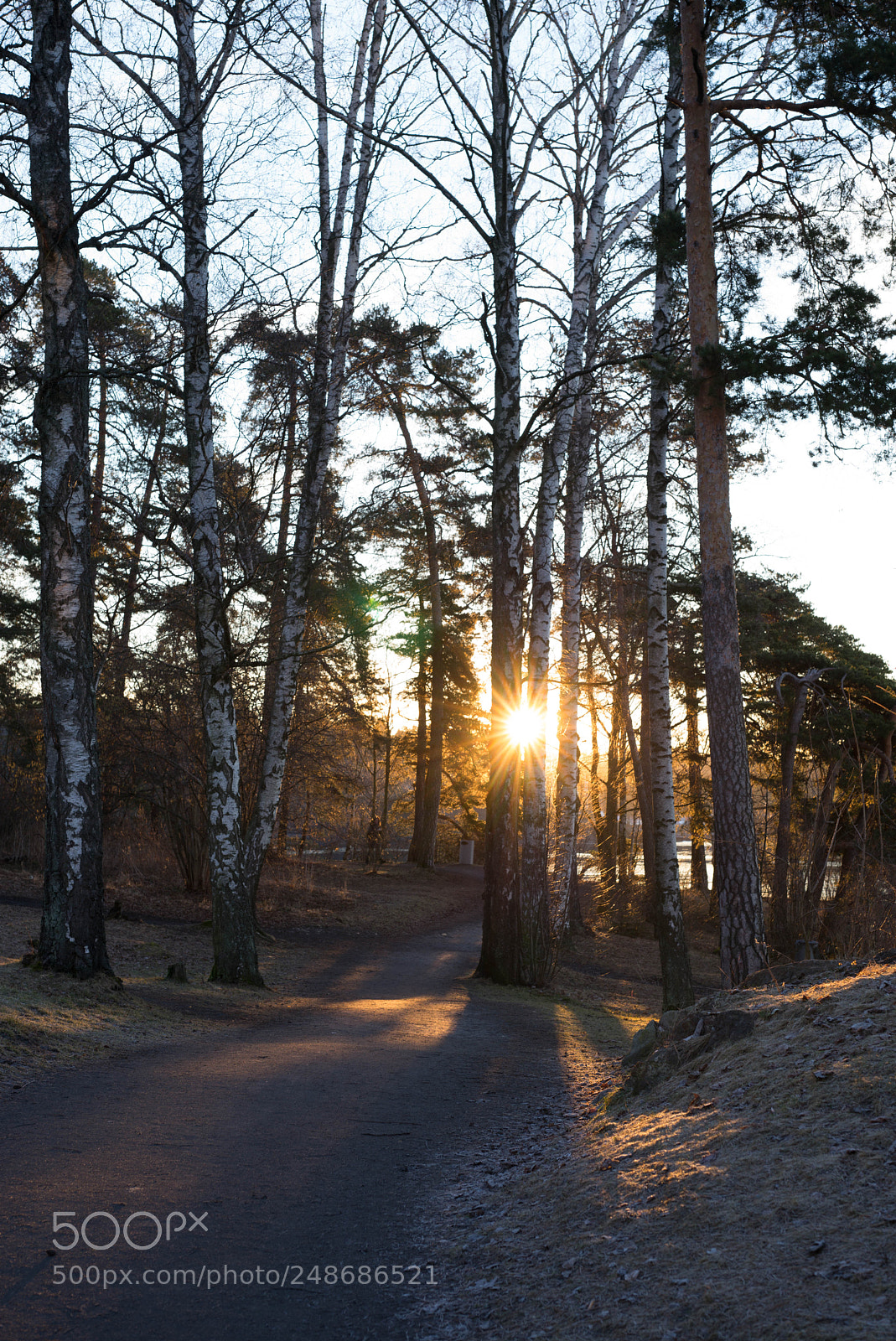 Leica M (Typ 240) sample photo. Sunrise in oslo morning photography