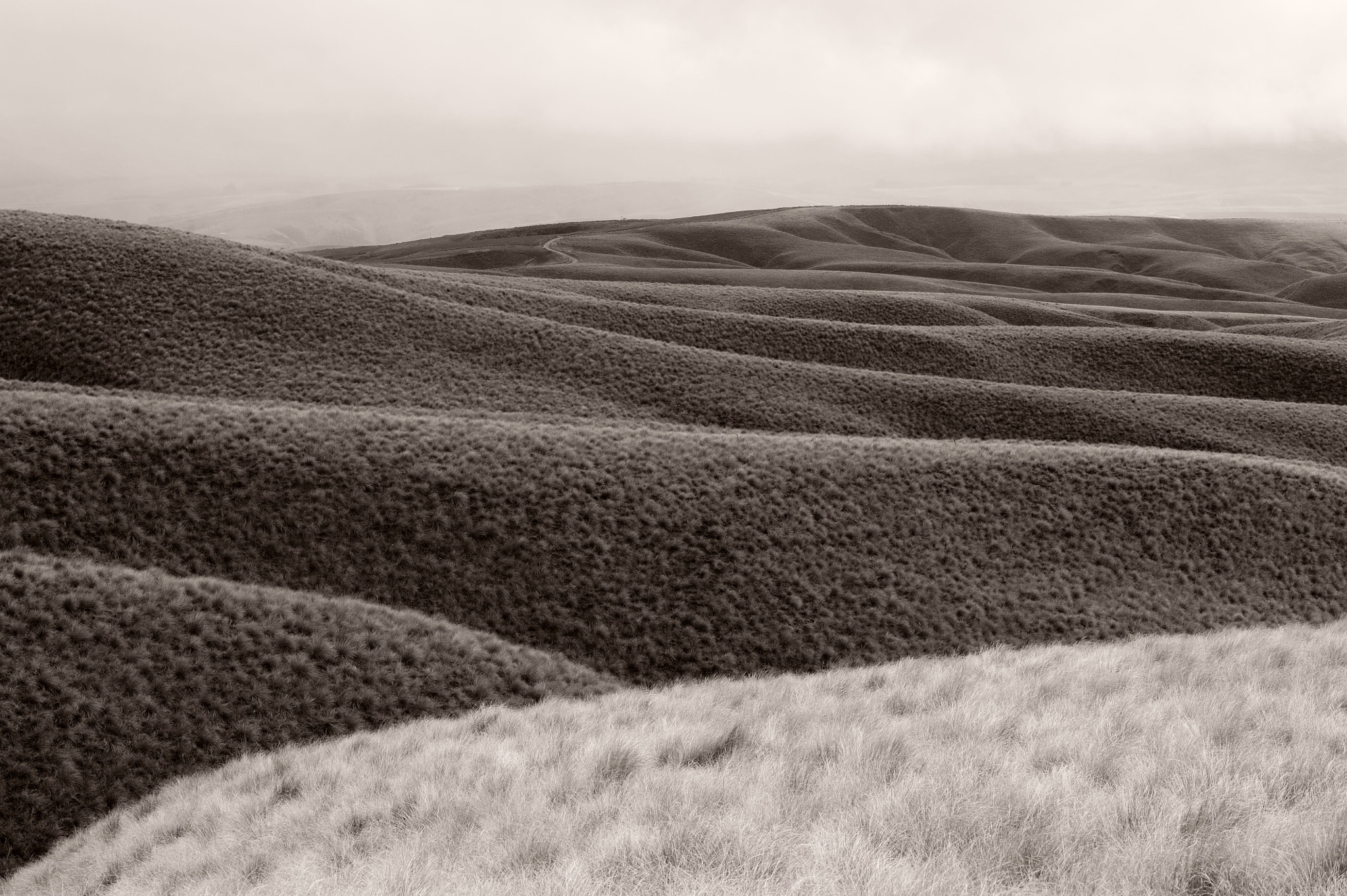 Nikon D700 sample photo. Otago, new zealand photography