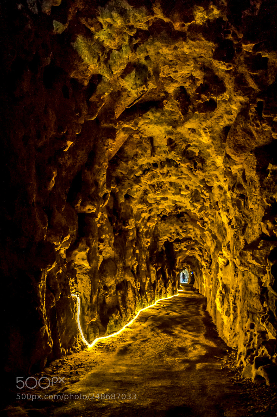 Nikon D3200 sample photo. Follow the light photography