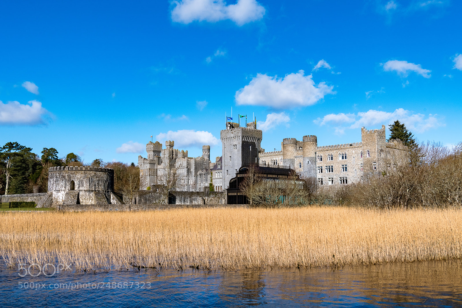 Nikon D850 sample photo. Ashford castle photography