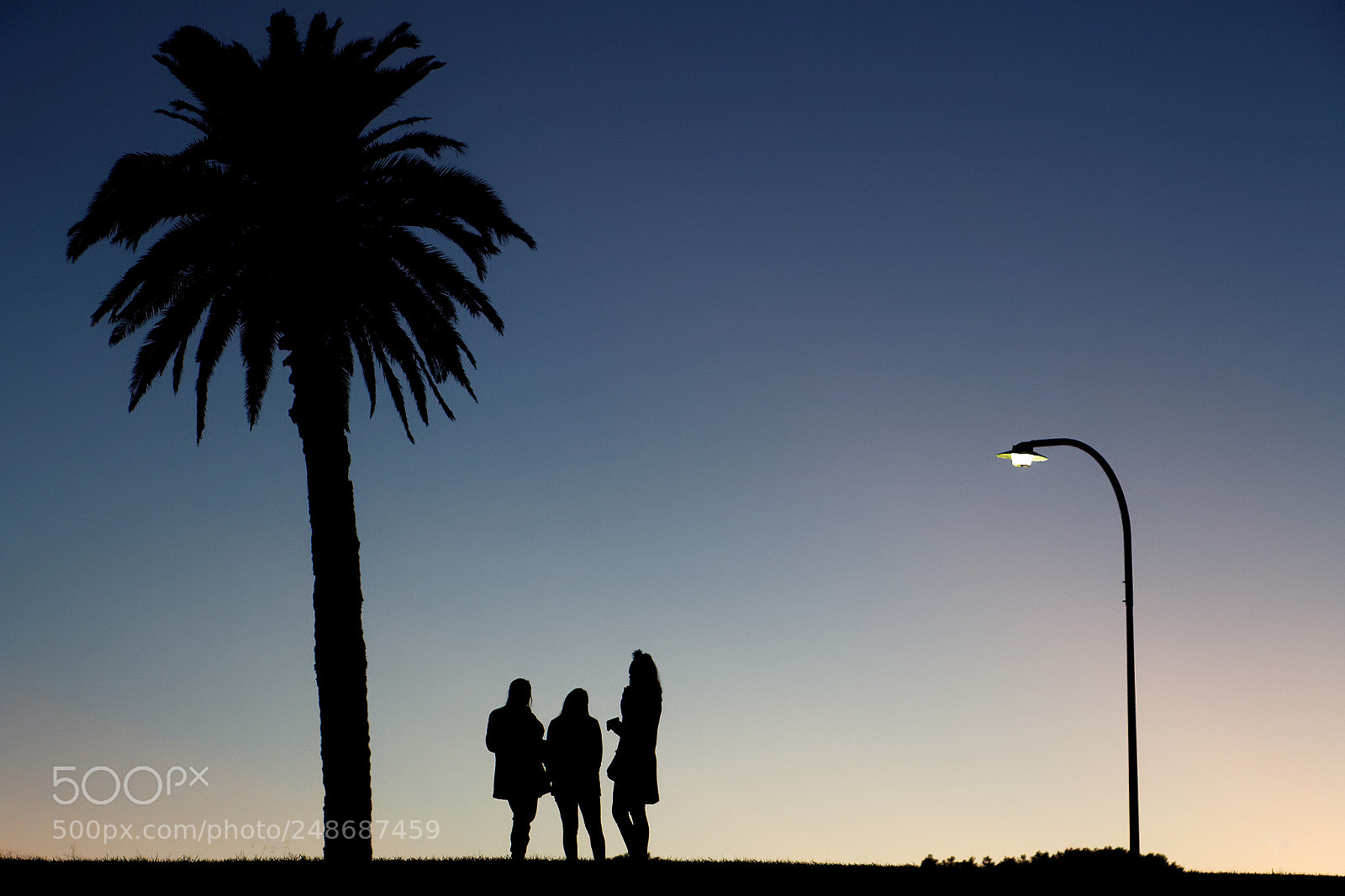 Canon EOS 650D (EOS Rebel T4i / EOS Kiss X6i) sample photo. Dusk silhouette photography