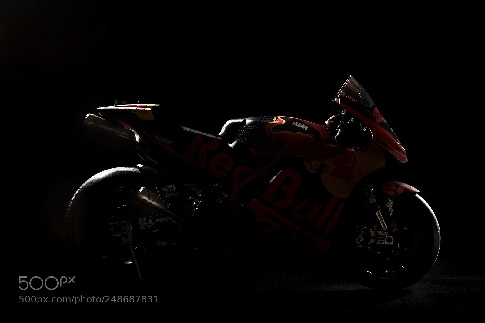 Nikon D850 sample photo. Black bull photography