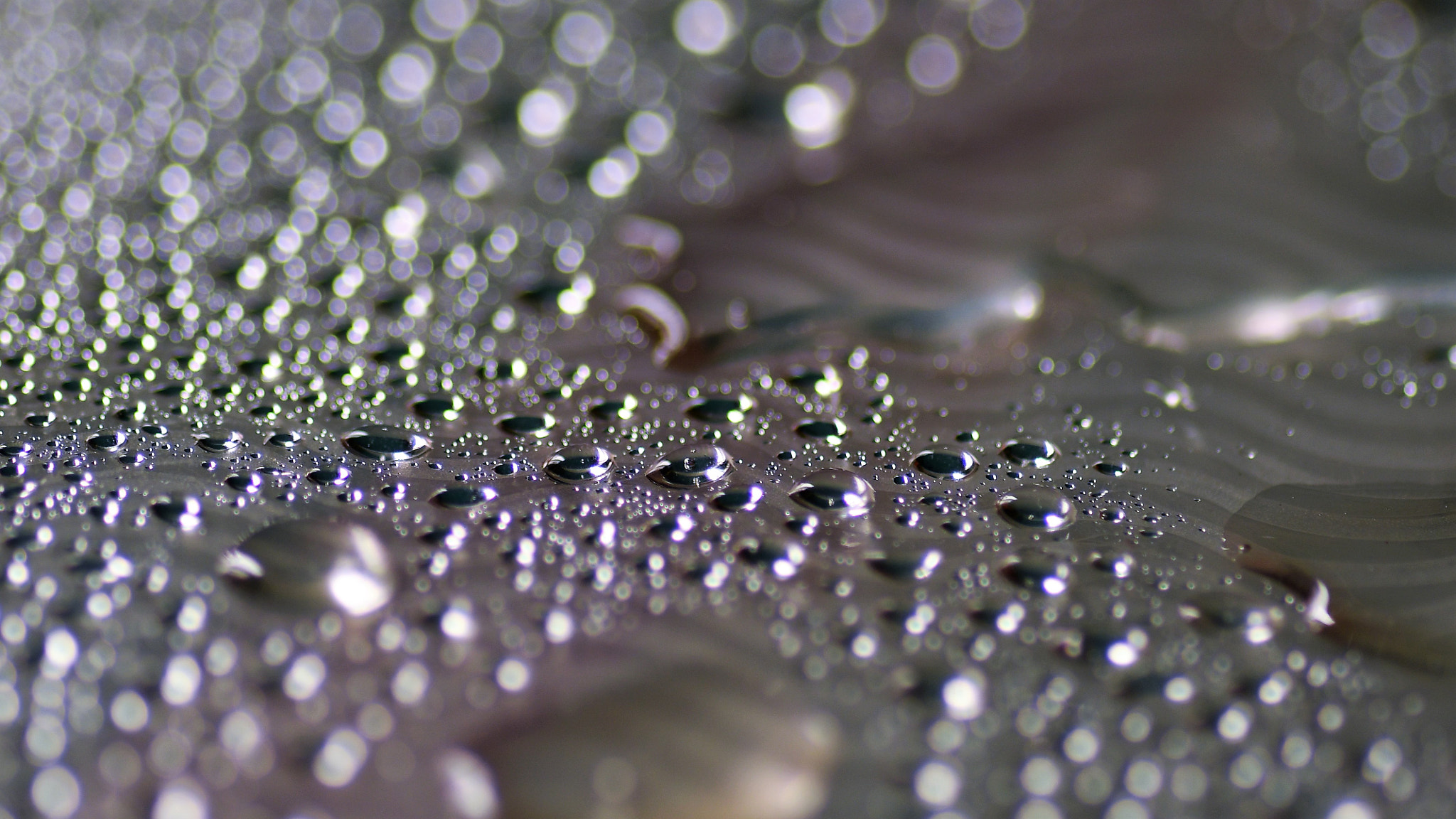 Nikon D7500 sample photo. Glittery photography