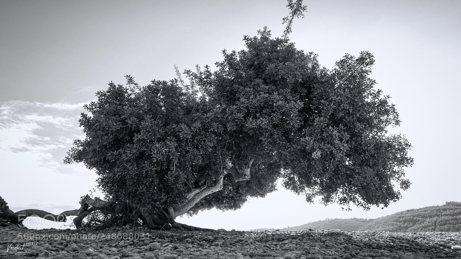 Nikon D300 sample photo. Formless photography