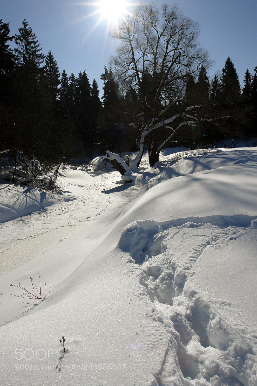 Sony DSC-R1 sample photo. Snow photography