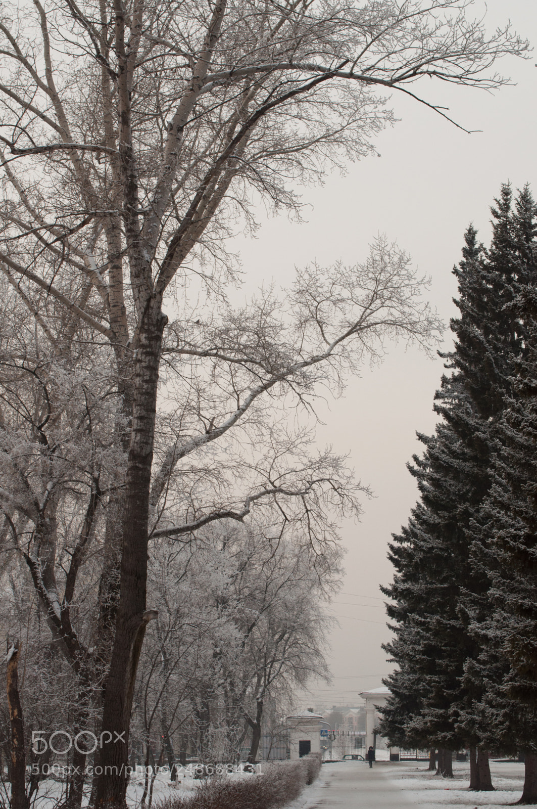 Nikon D5000 sample photo. Park views photography