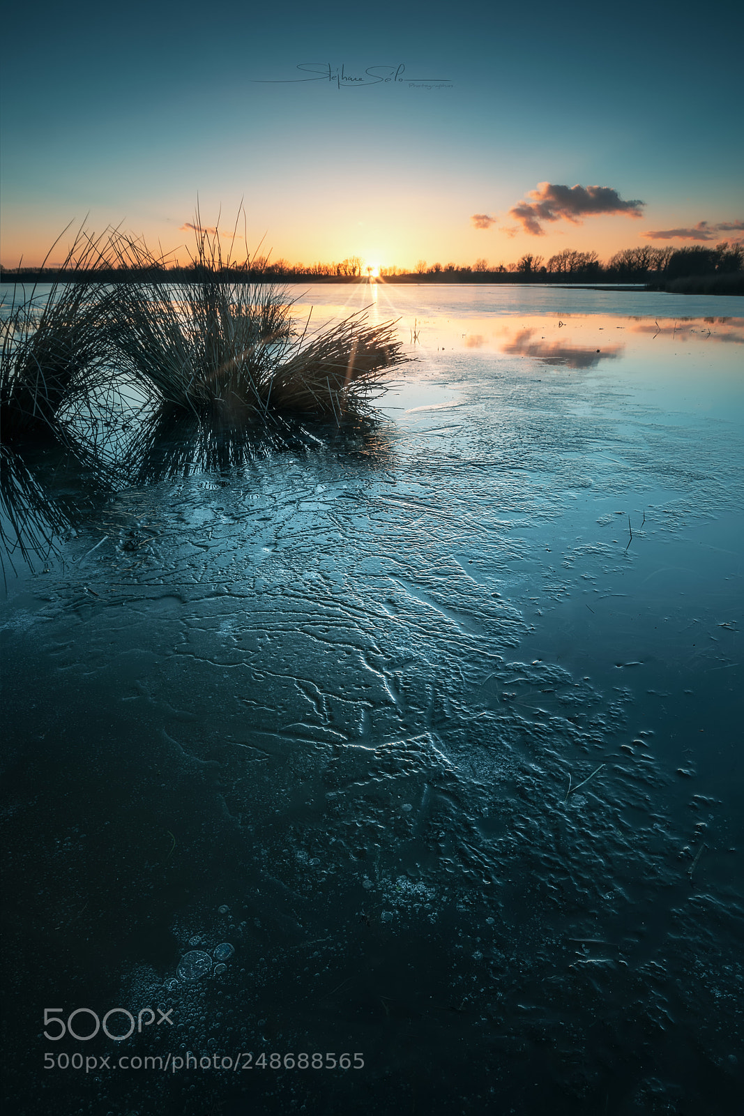 Pentax K-3 II sample photo. Couchant sur la dombes photography