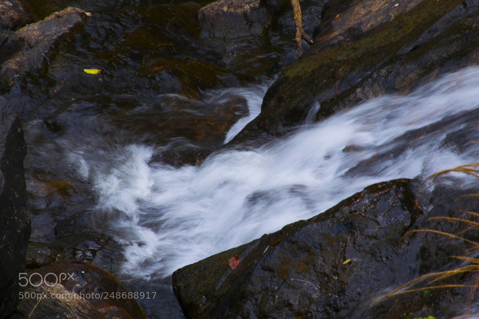 Nikon D5300 sample photo. Stream photography