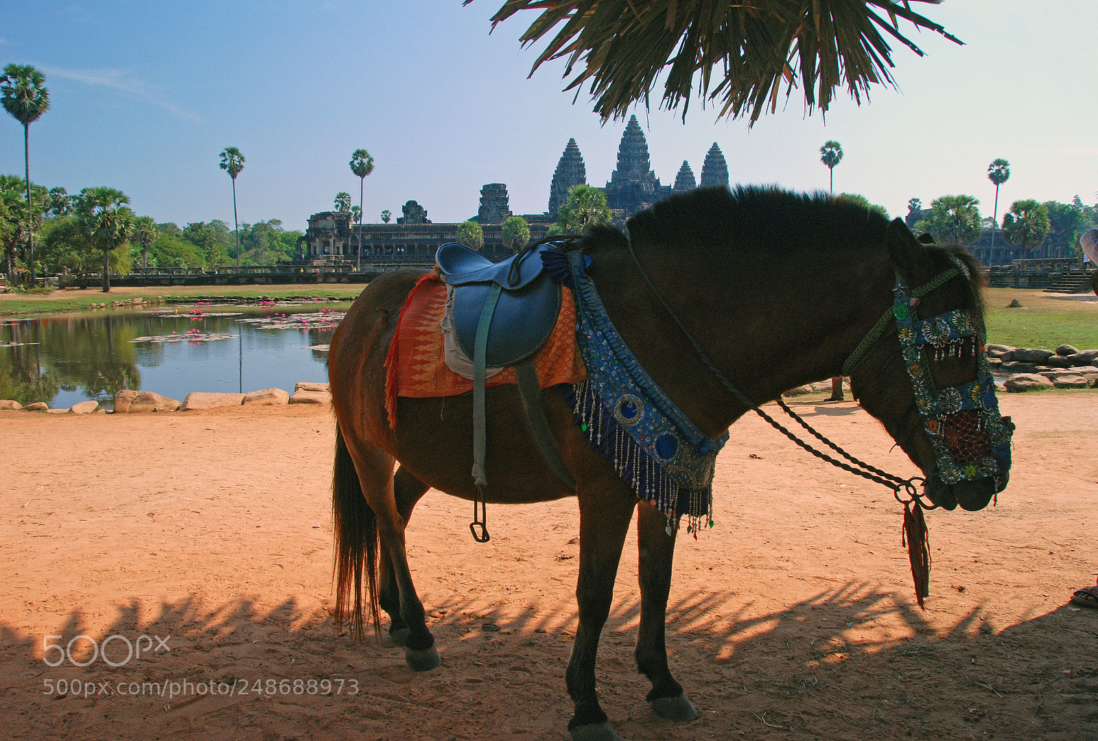 Nikon D80 sample photo. Angkor wat. photography