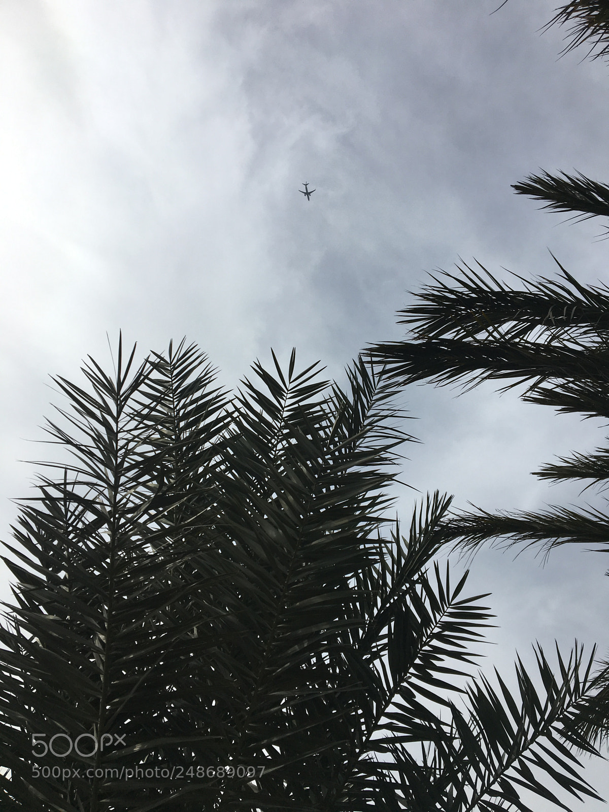 Apple iPhone 6s sample photo. Alone in the sky photography