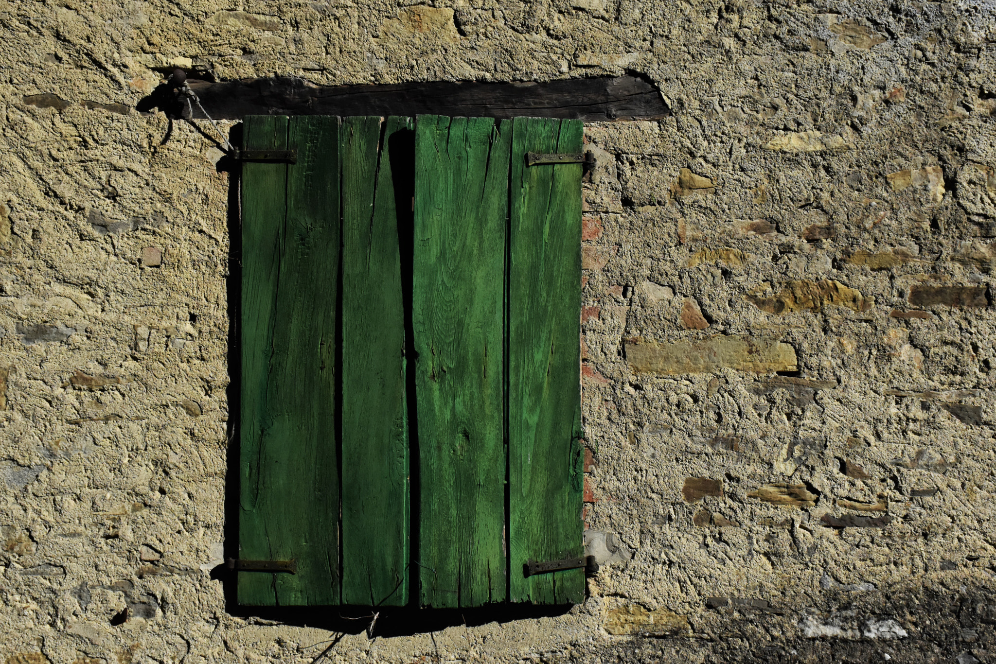 Nikon D5500 sample photo. Green old window photography