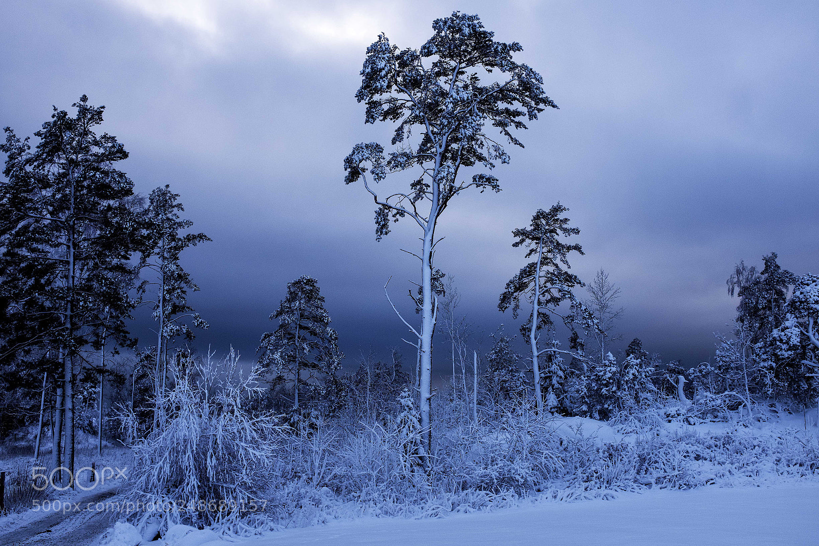 Fujifilm X100T sample photo. SnØ photography
