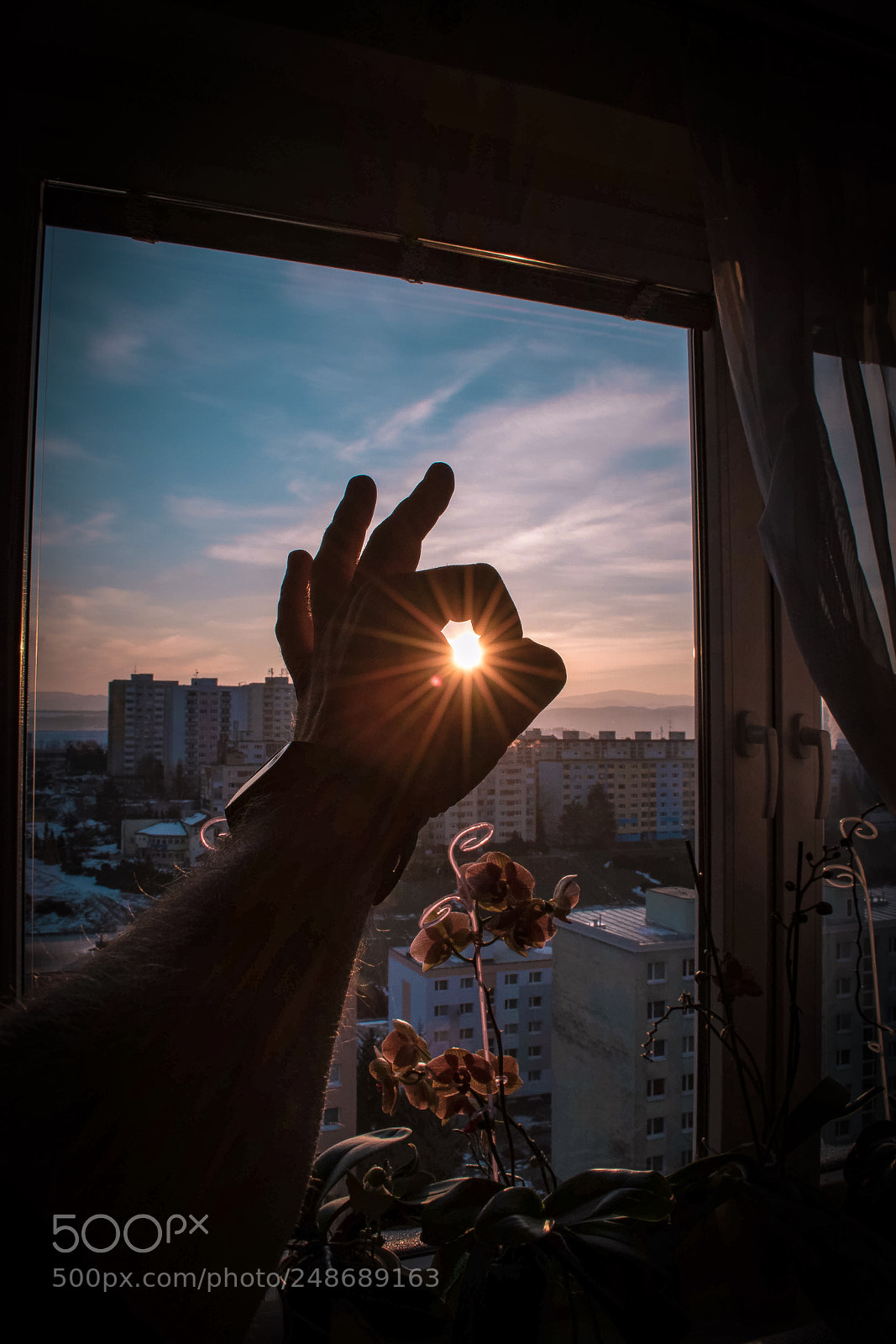 Nikon D5600 sample photo. Morning photography