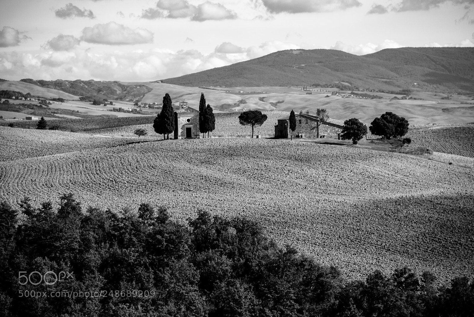Nikon D80 sample photo. Crete senesi photography