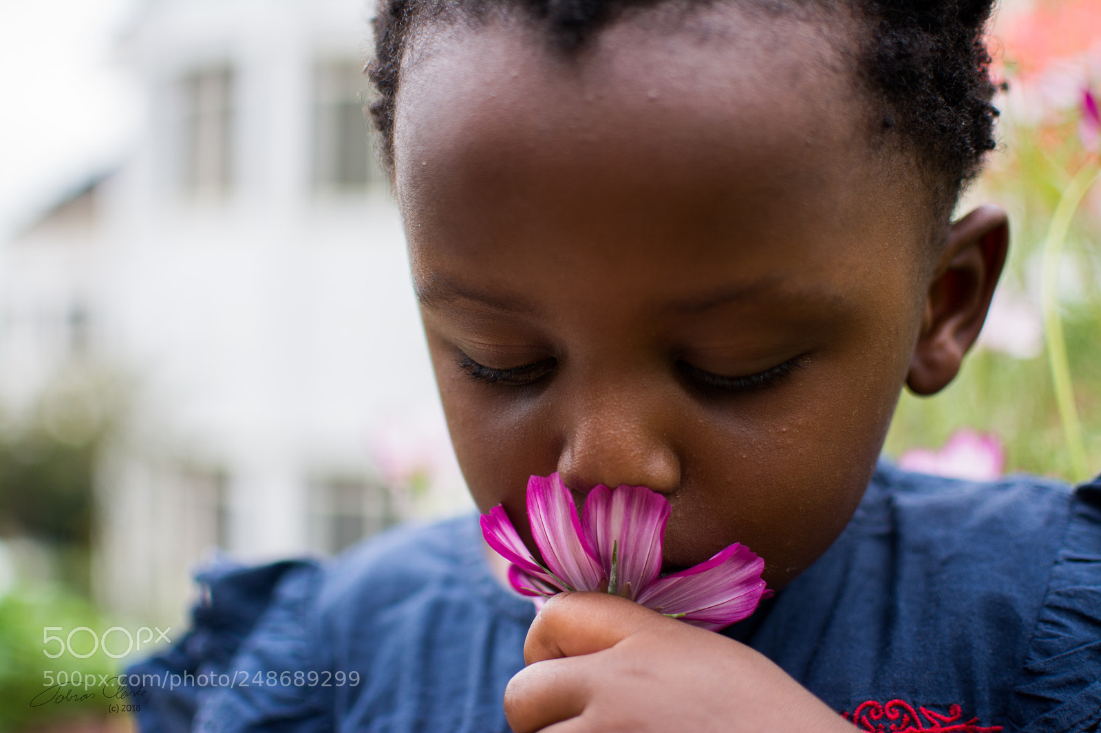 Nikon D7100 sample photo. Smell the flower photography
