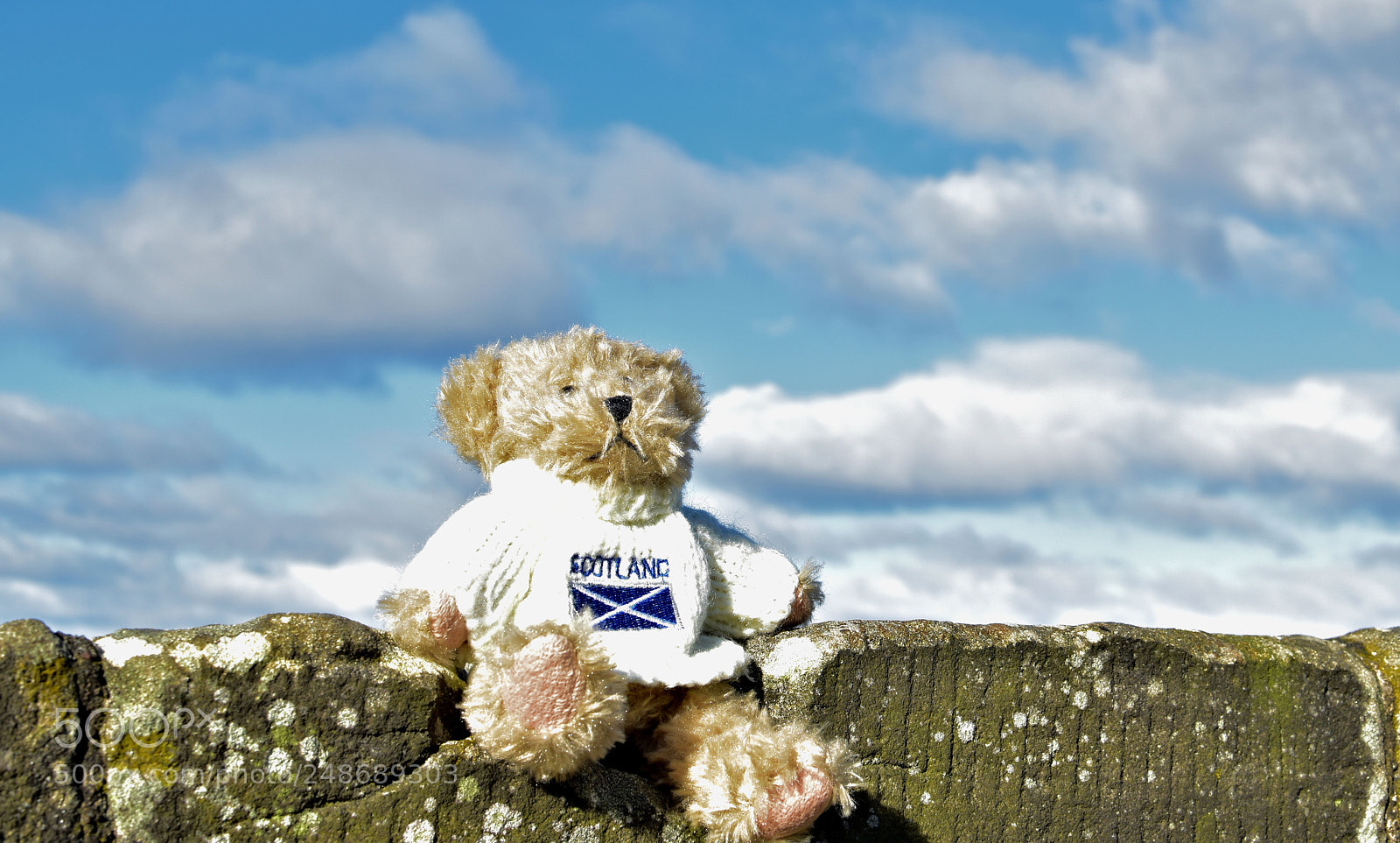 Nikon D5500 sample photo. Friends at stirling castle photography