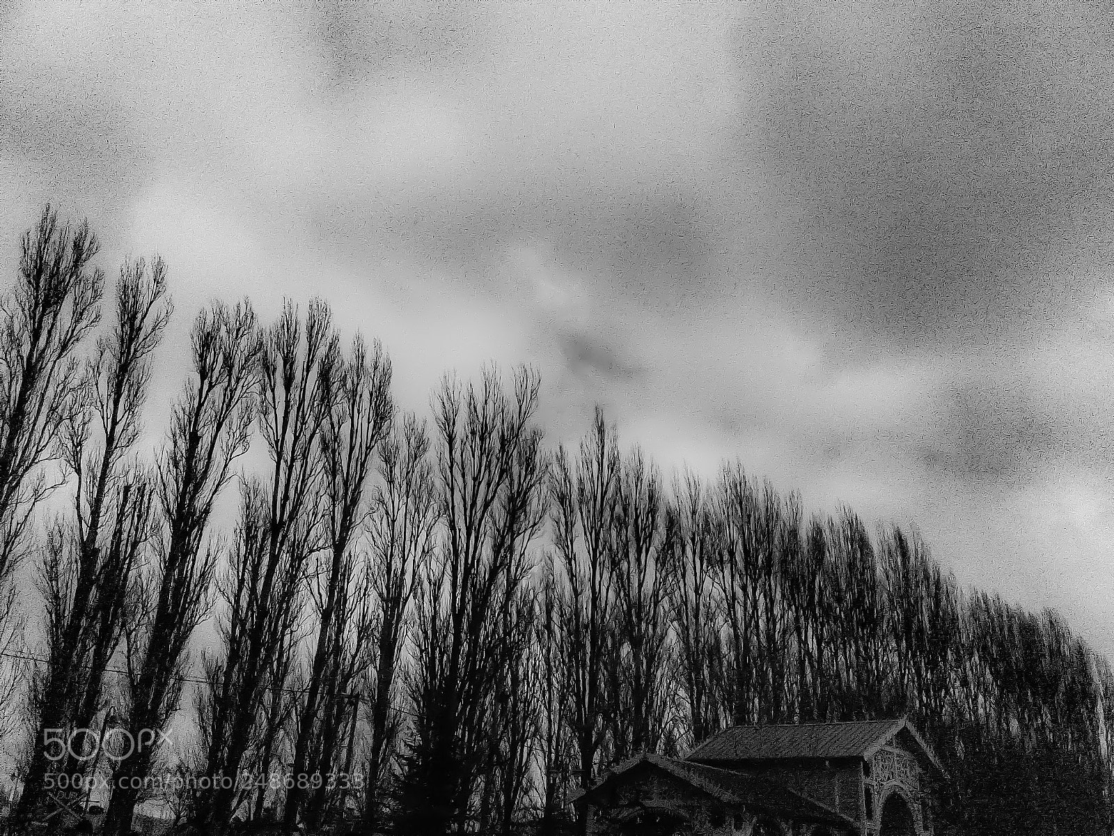 Samsung Galaxy J2 sample photo. Untitled photography