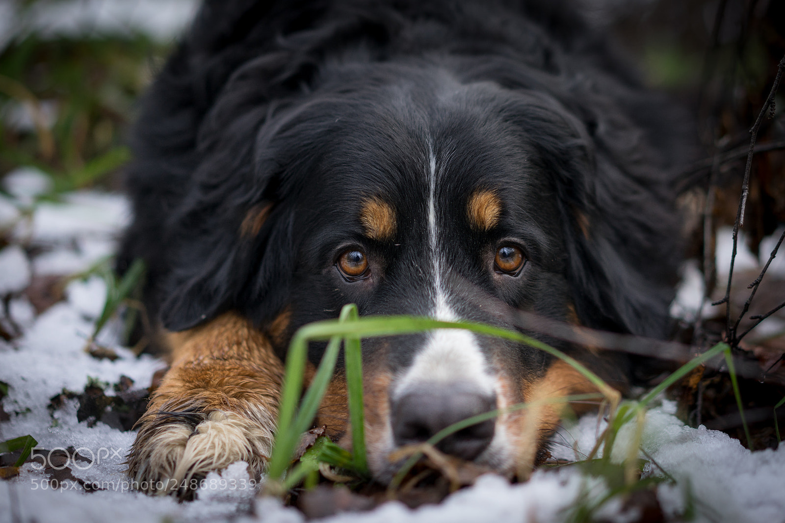 Sony a7 II sample photo. Her eyes photography