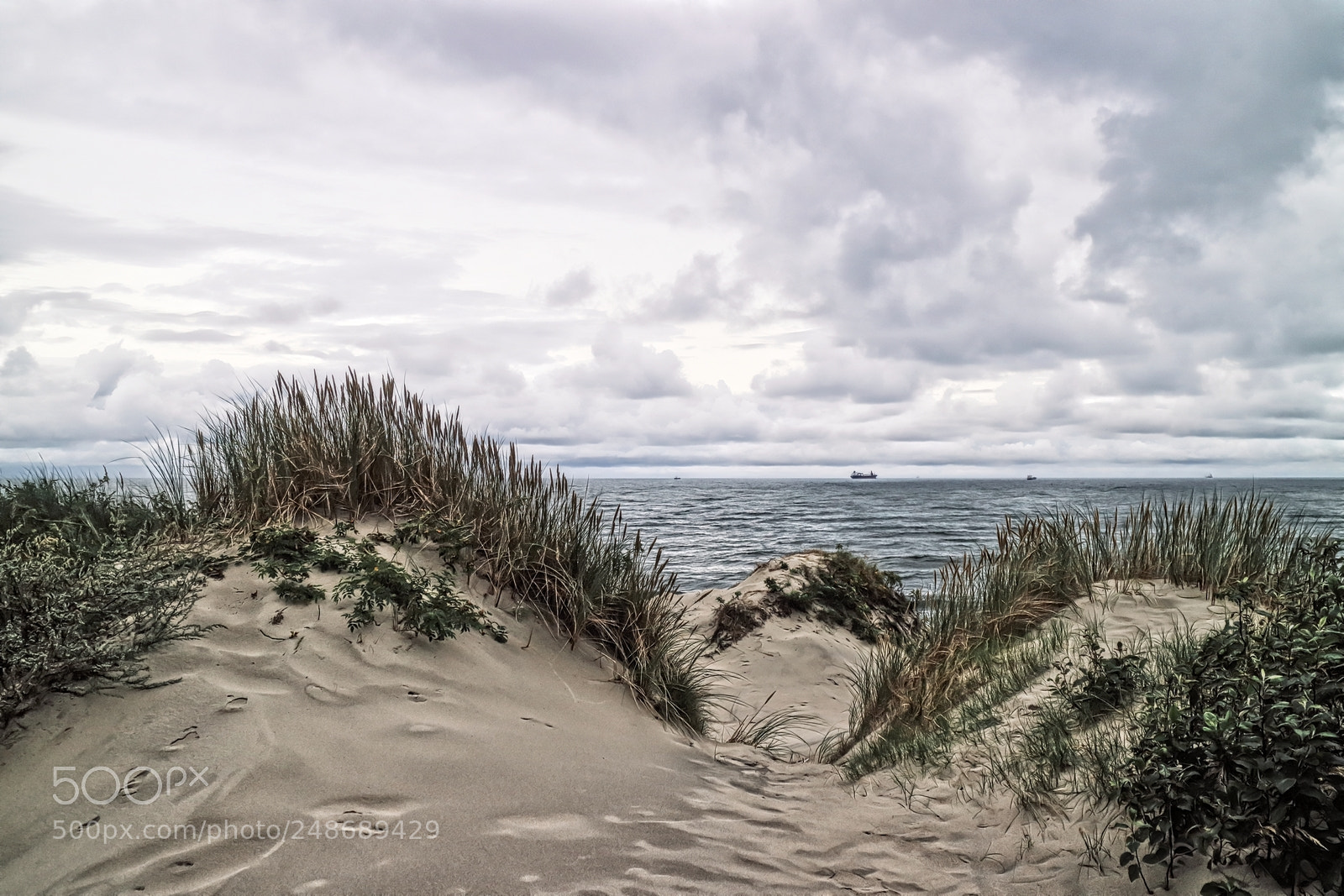 Canon EOS M3 sample photo. Baltic spit photography