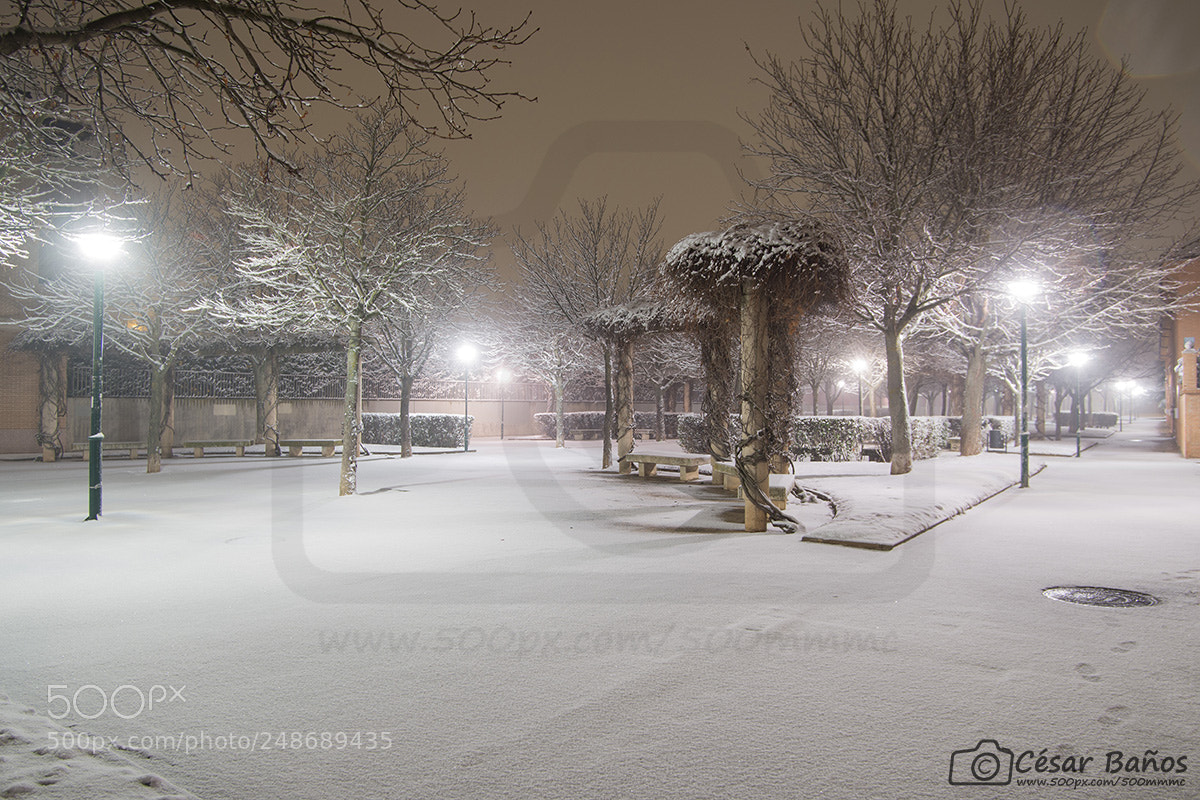 Nikon D610 sample photo. Snow in valladoid photography