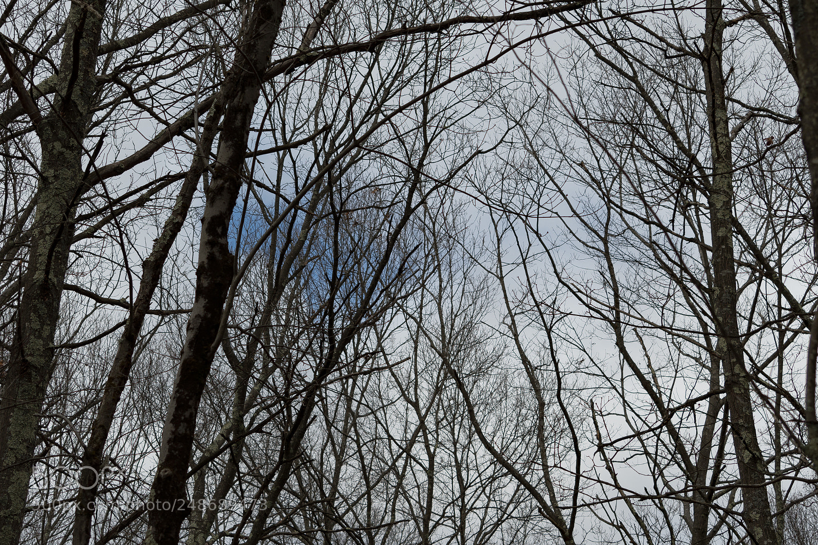 Nikon D500 sample photo. A tiny blue sky photography