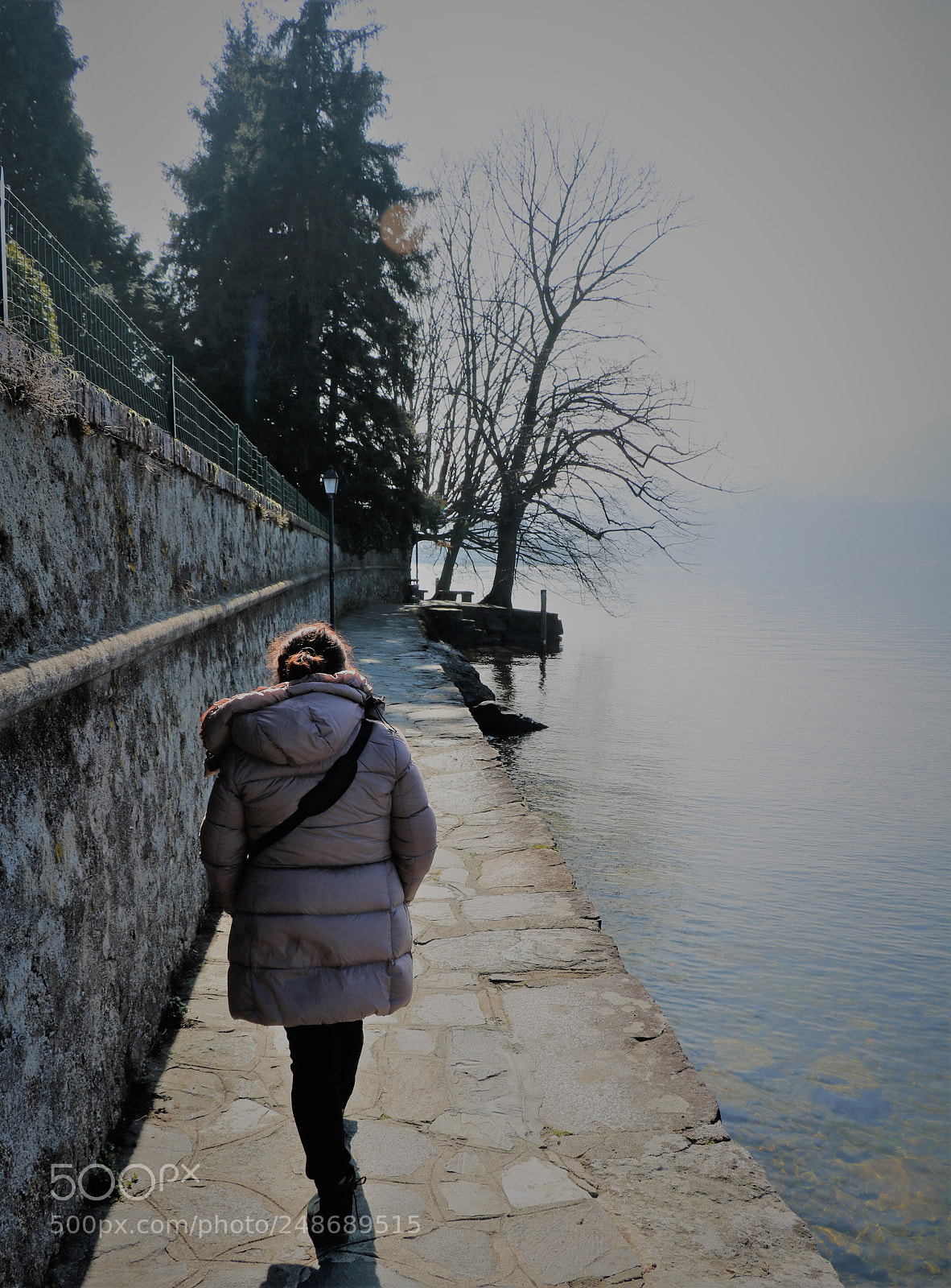 Canon EOS 750D (EOS Rebel T6i / EOS Kiss X8i) sample photo. Untitled photography