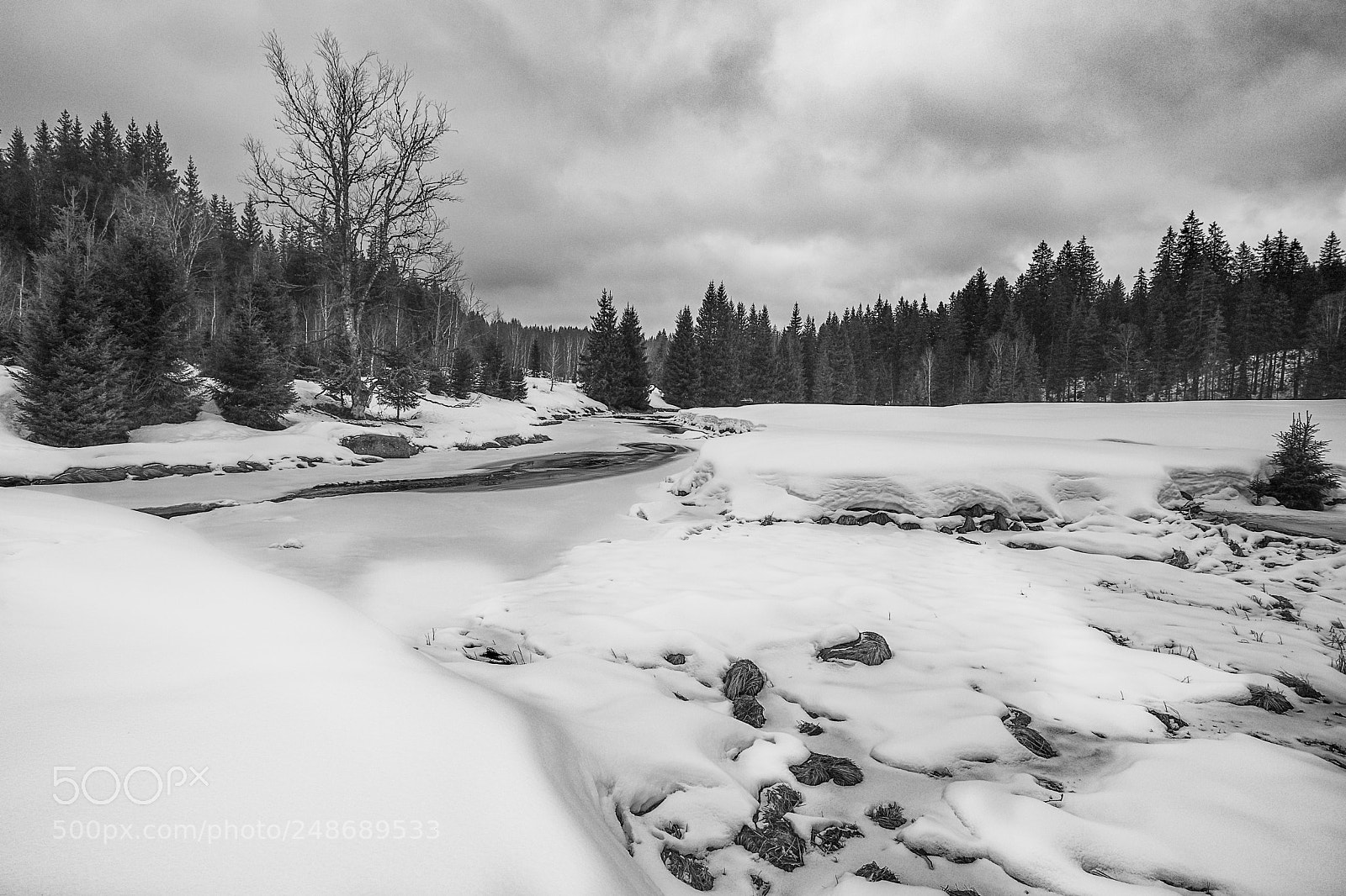Canon EOS 6D Mark II sample photo. Winter on modrava photography