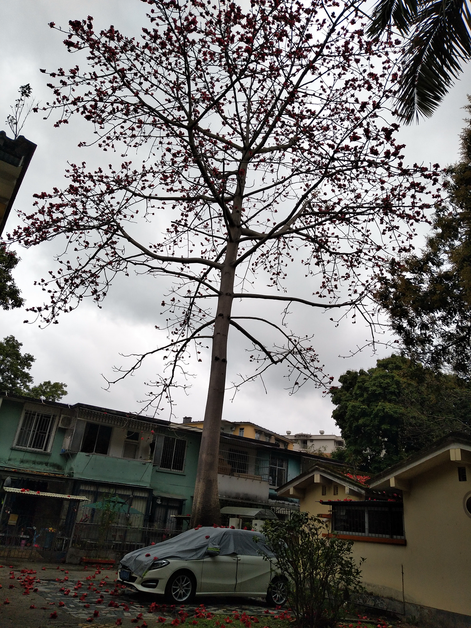 vivo X9 sample photo