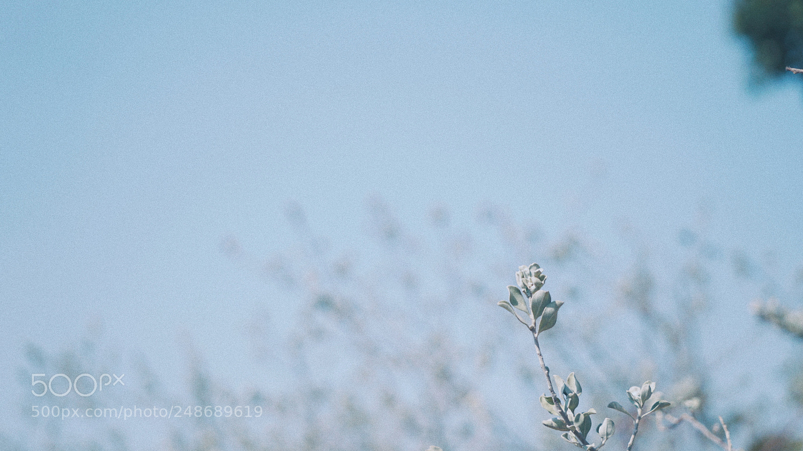 Sony a6000 sample photo. Untitled photography