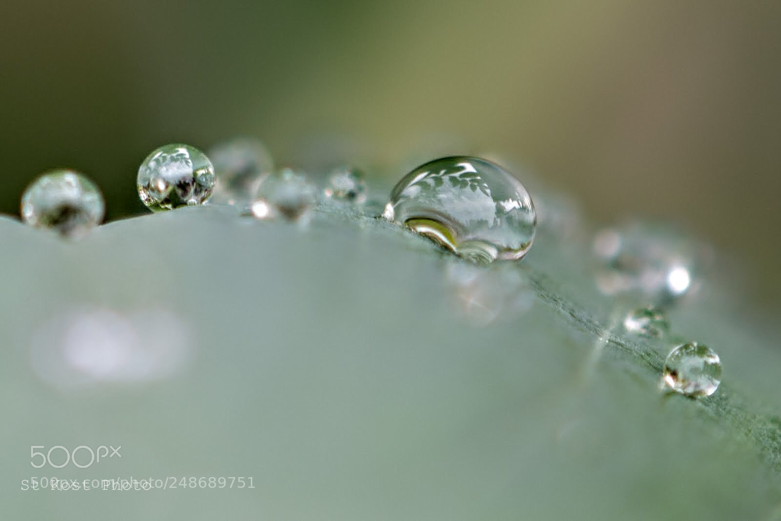 Nikon D5200 sample photo. Reflections photography