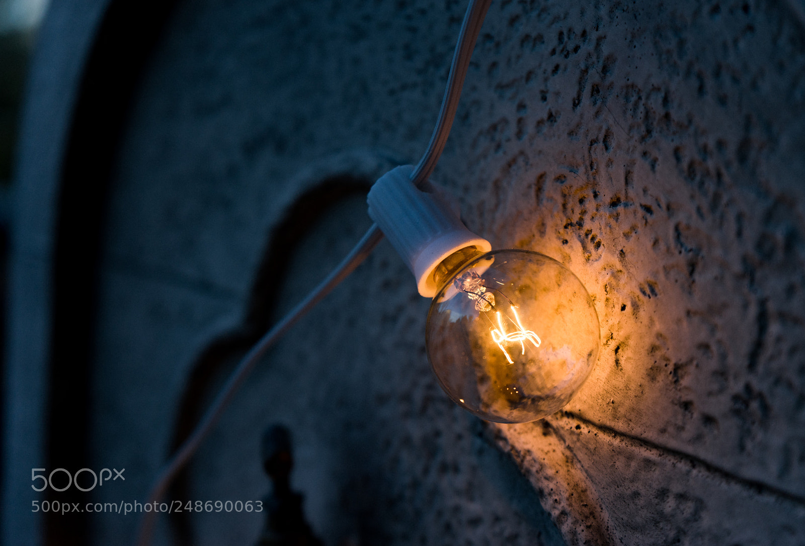 Sony a7 sample photo. Lightbulb macro photography