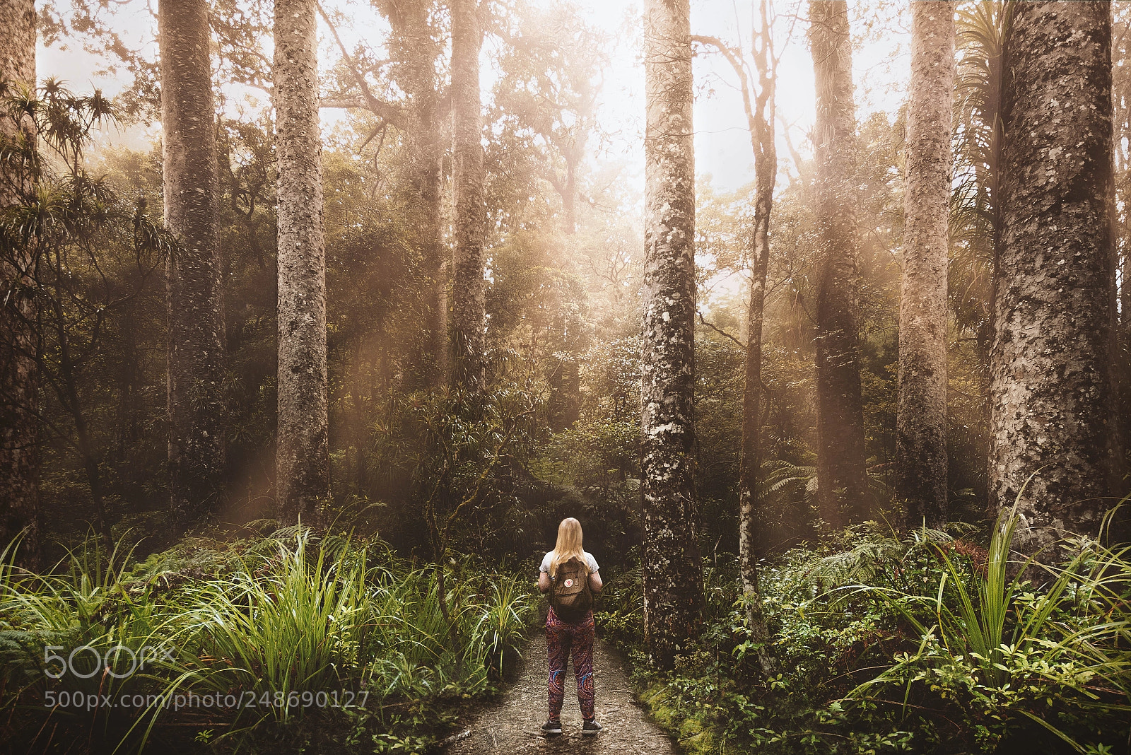 Nikon D7100 sample photo. Kaha kauri photography