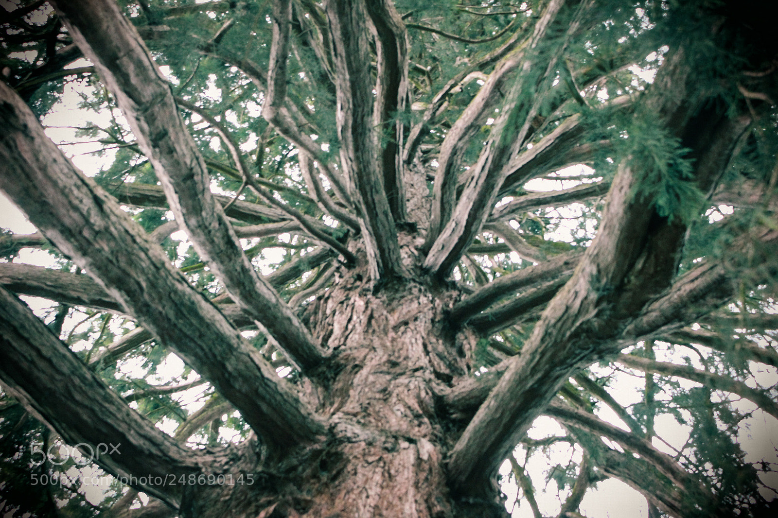 Canon EOS 700D (EOS Rebel T5i / EOS Kiss X7i) sample photo. Climb photography