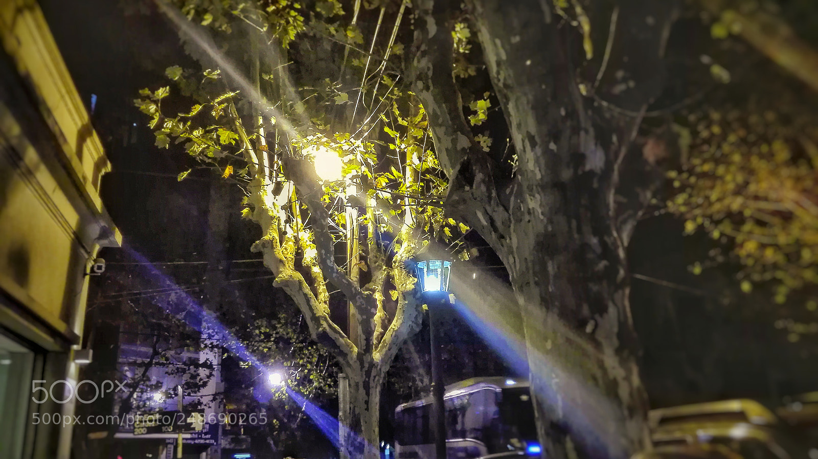 HUAWEI P8 Lite sample photo. Noname world photography
