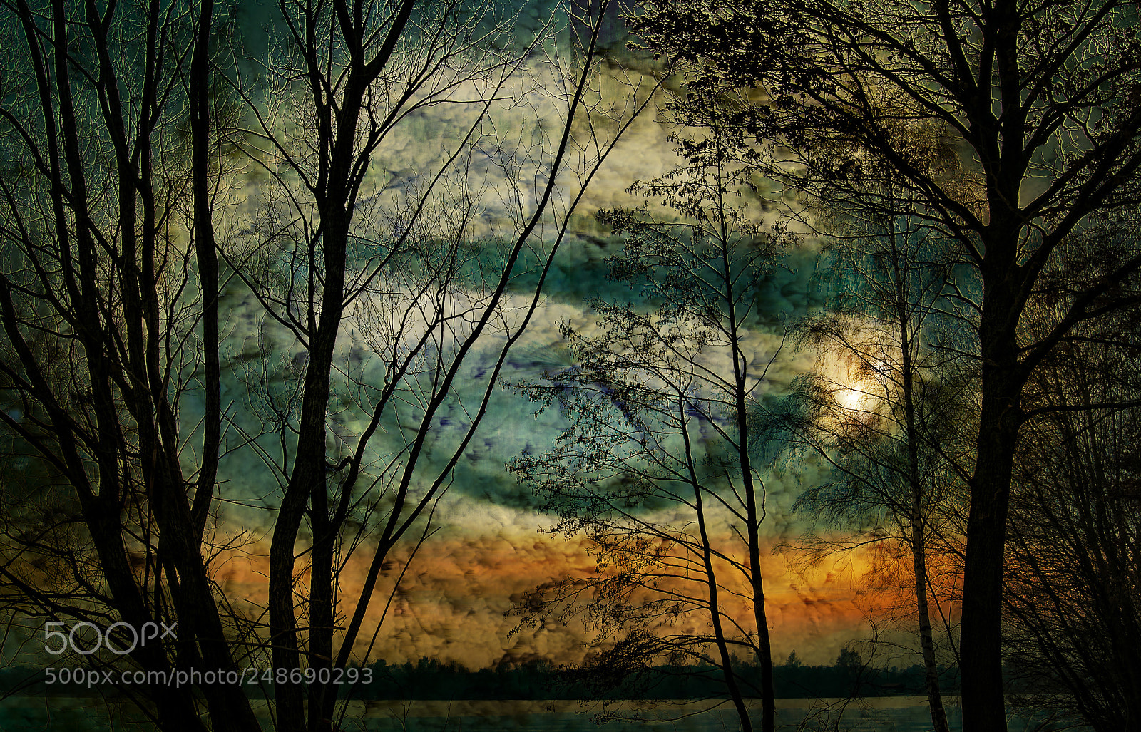 Nikon D300 sample photo. Nature lake photography