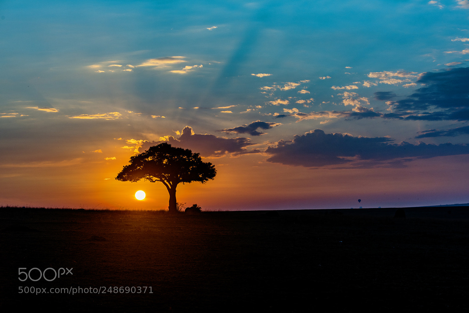 Nikon D810 sample photo. Sunrise over the massai photography