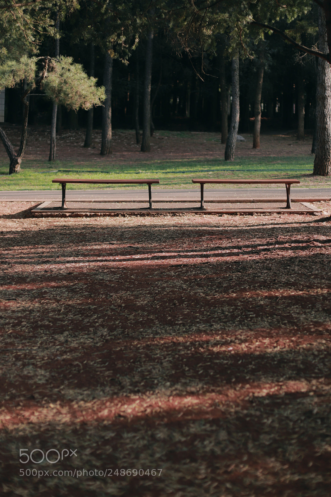 Canon EOS 6D Mark II sample photo. Untitled photography