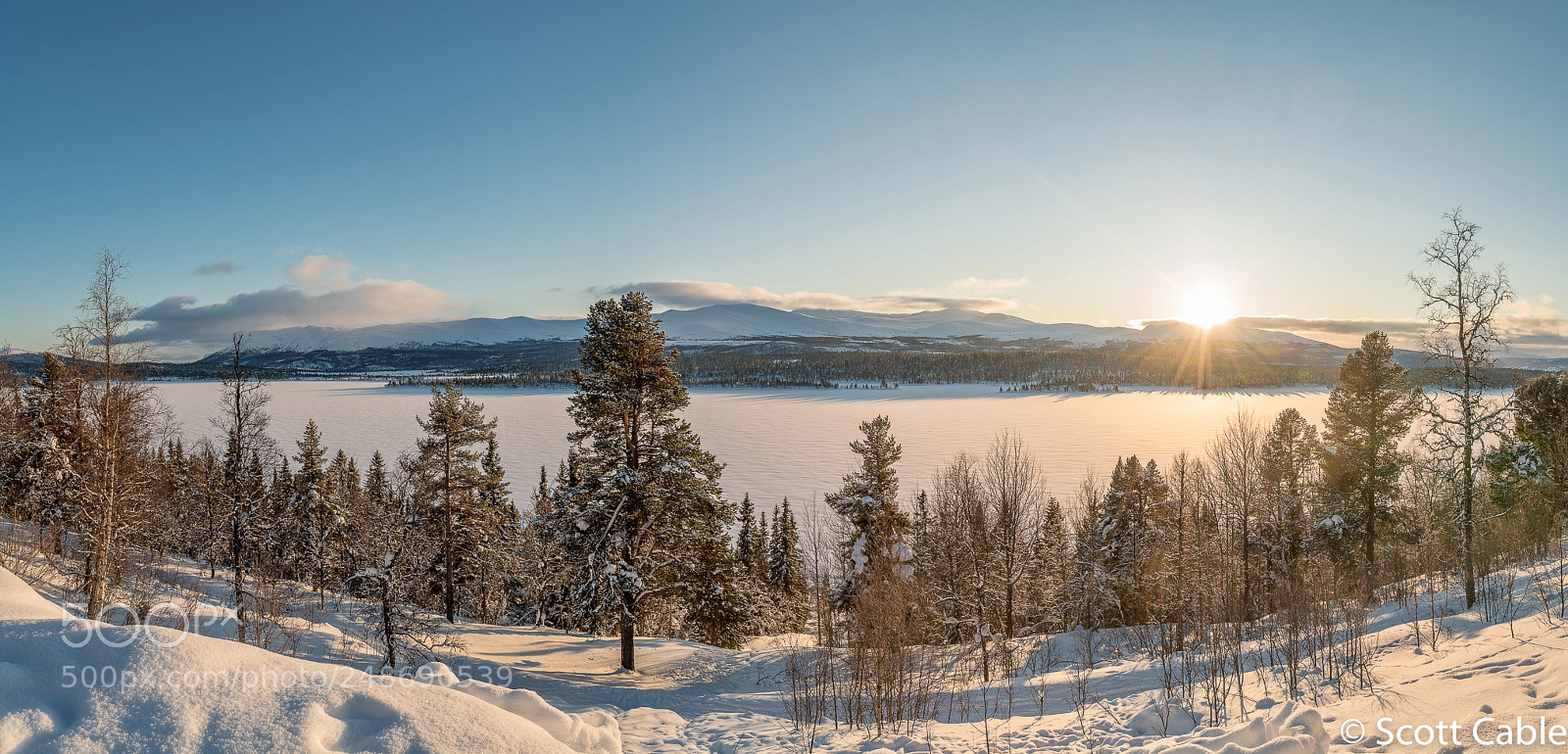 Sony a7R III sample photo. Frozen fefor photography