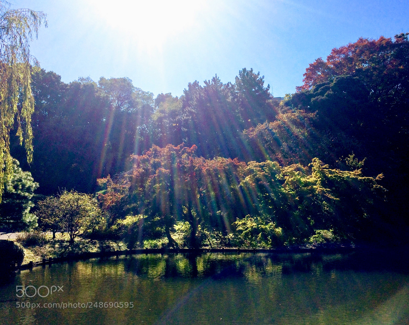 Apple iPhone 5s sample photo. Japanese garden photography