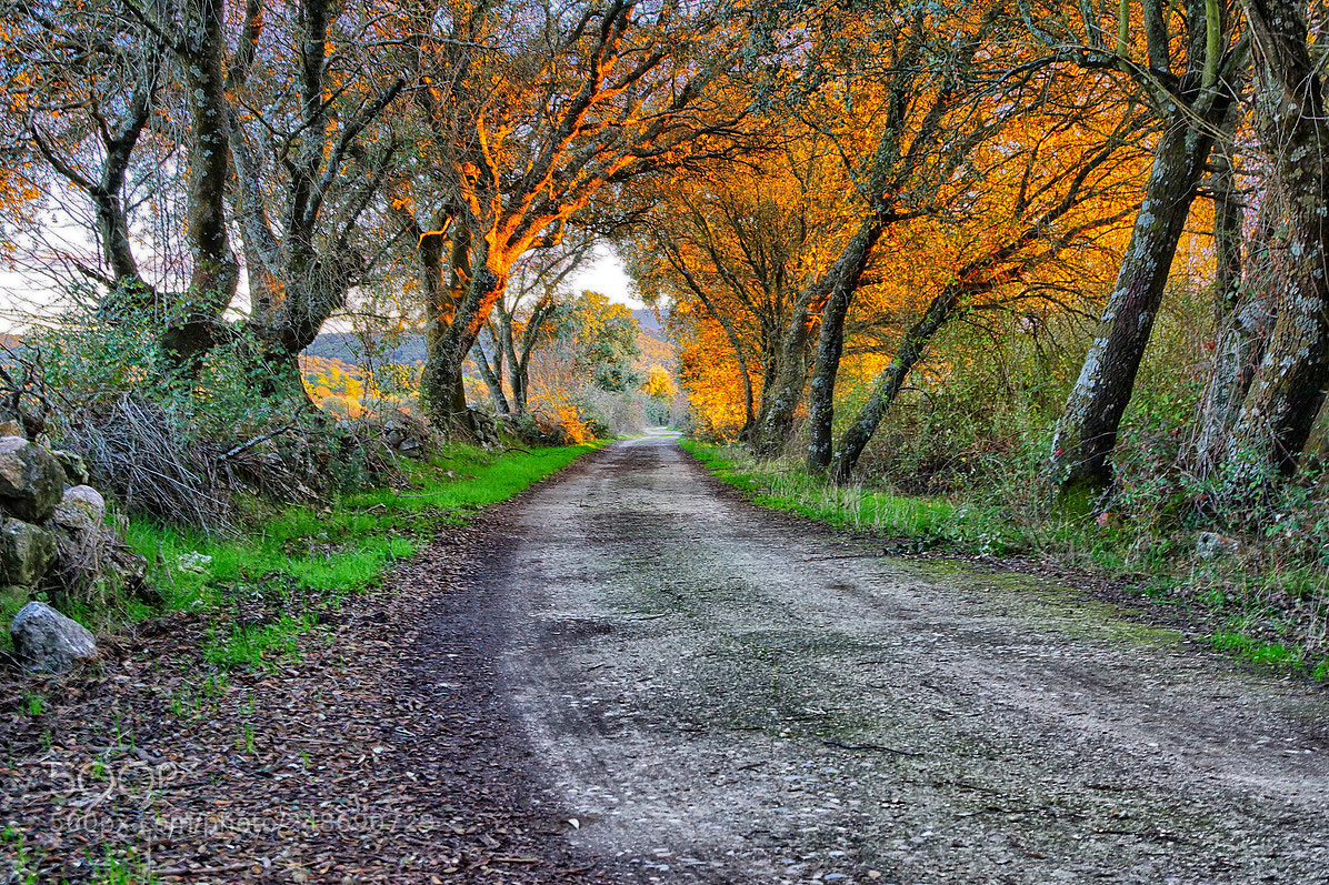 Sony Alpha NEX-7 sample photo. Atardecer photography