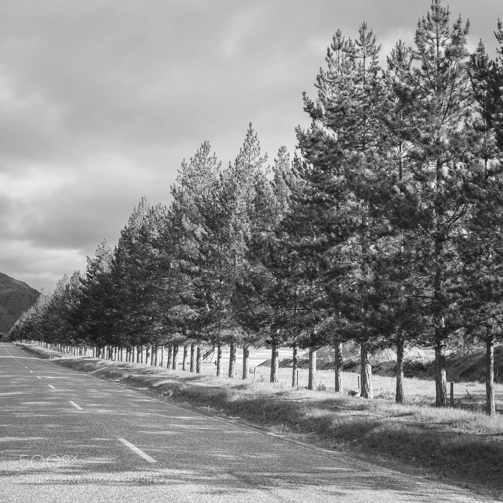 Fujifilm X100F sample photo. Otago, new zealand photography