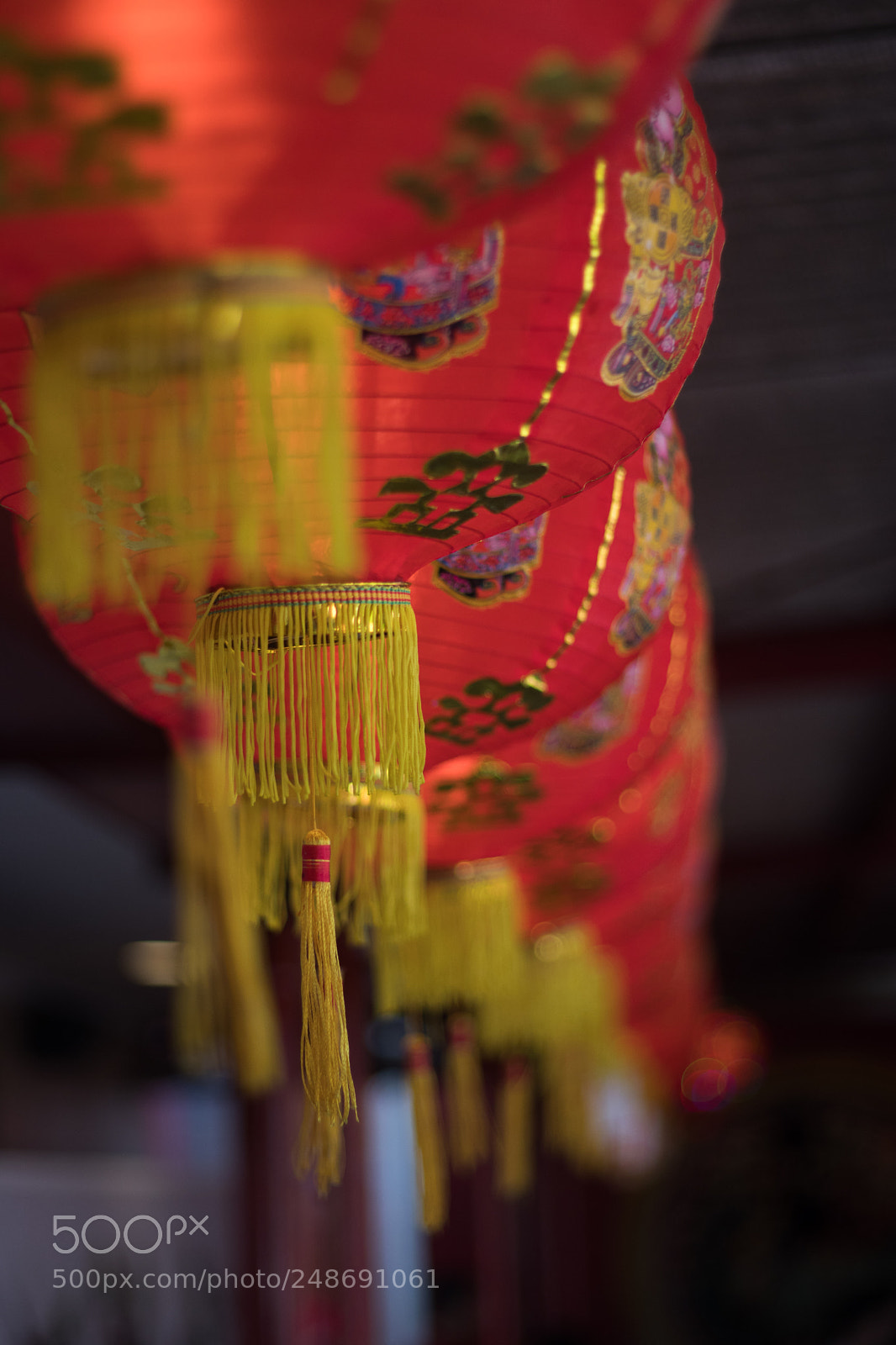 Canon EOS 80D sample photo. Img photography