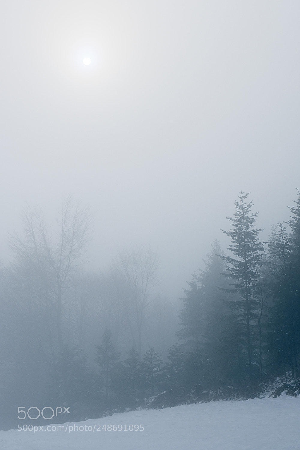 Fujifilm X-T2 sample photo. Sun vs. fog photography
